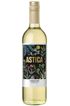 Astica Torrontés