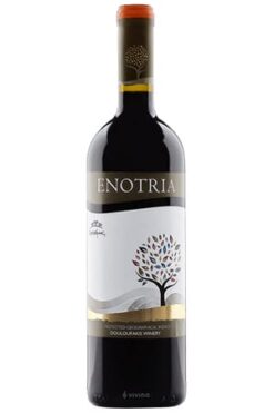 Enotria rot