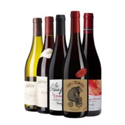 Beaujolais Primeur Probierpaket 2024